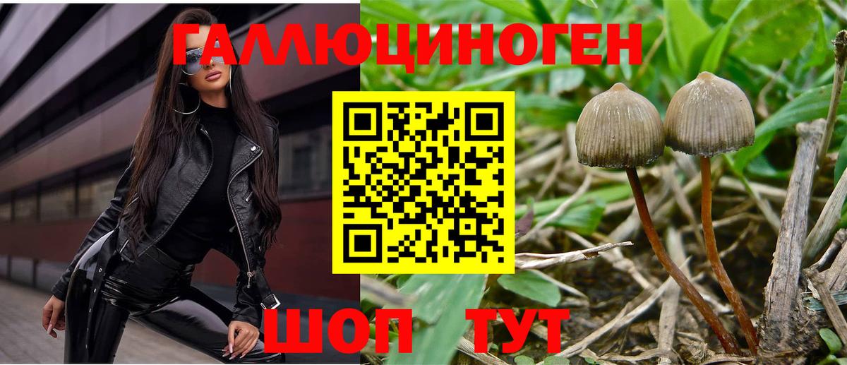 Ковров  Галлюциногенные грибы мицелий  Галлюциногенные грибы MAGIC MUSHROOMS  Вход с VPN 