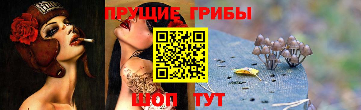 Псилоцибиновые грибы мухоморы Ковров