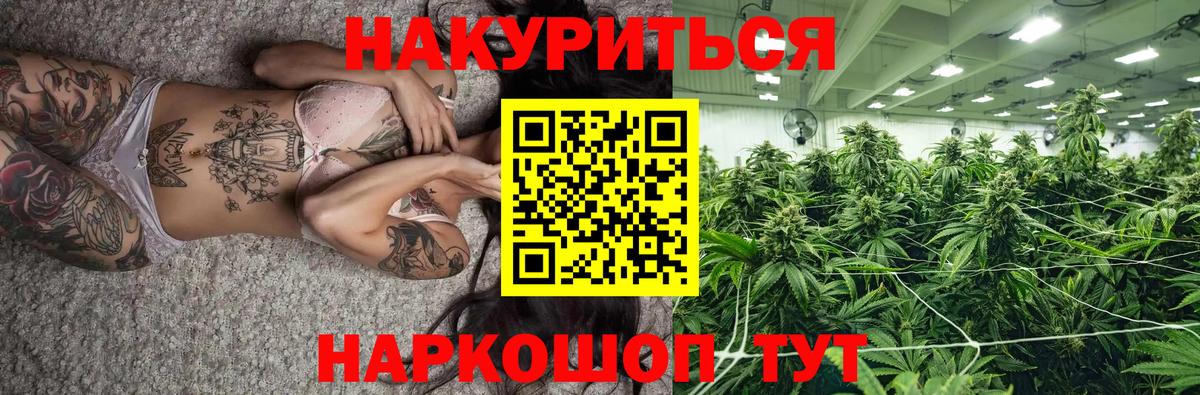 Бошки Шишки план Ковров